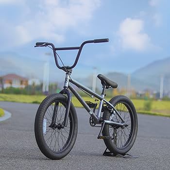 AVASTA Bacchus BMX 20インチ ブラック AVASTA Bacchus BMX 20インチ ブラック Amazon | AVASTA